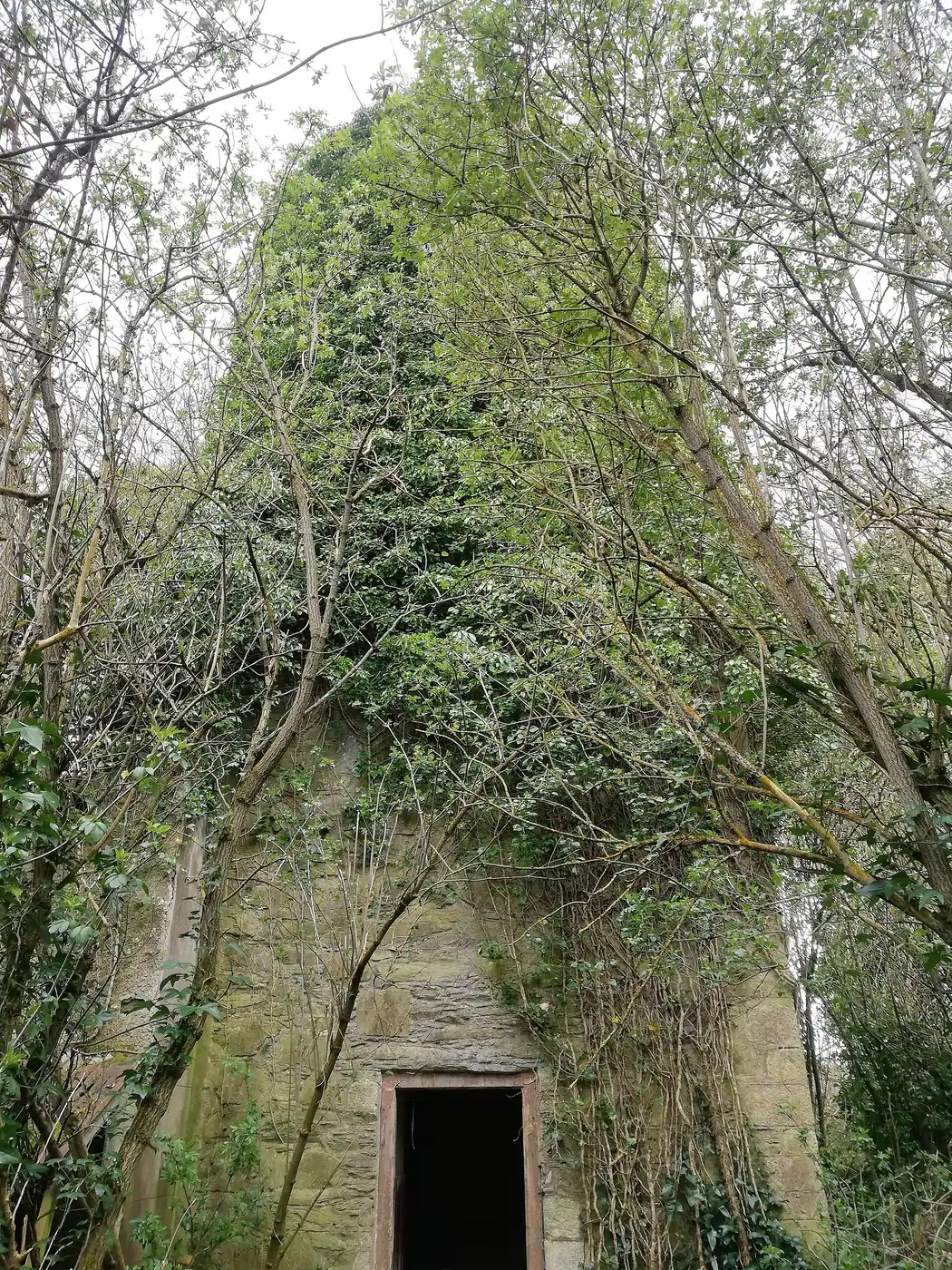 Killashee, County Kildare
