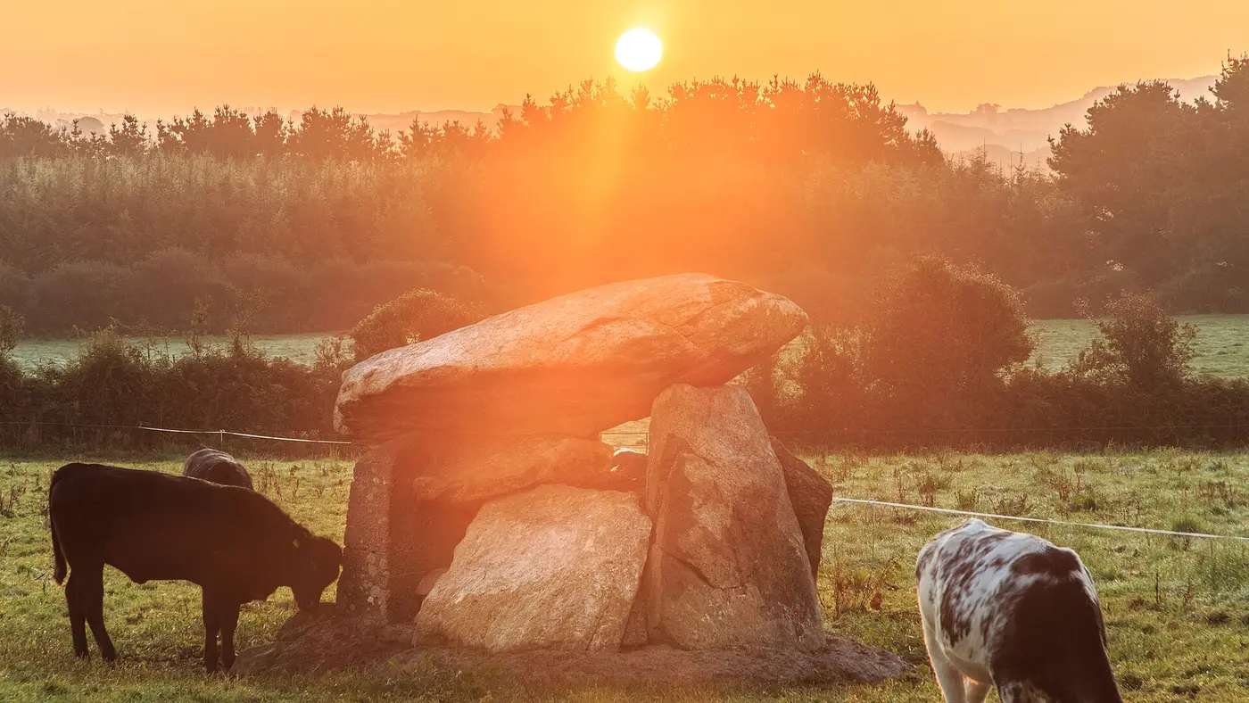 Ballynageeragh Portal Tomb, County Waterford