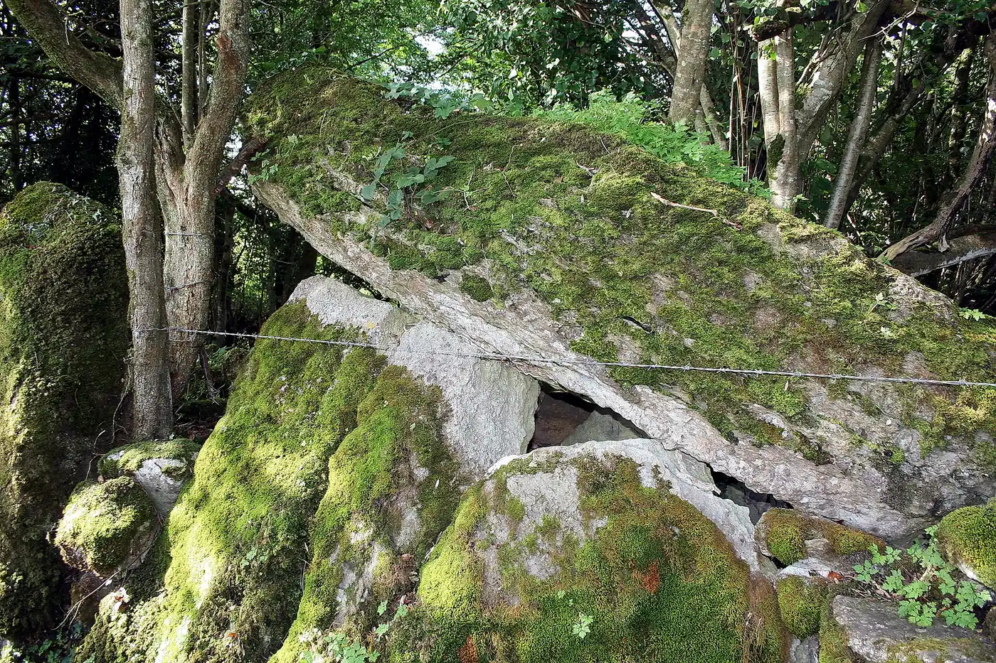 Meehambee Dolmen, County Roscommon