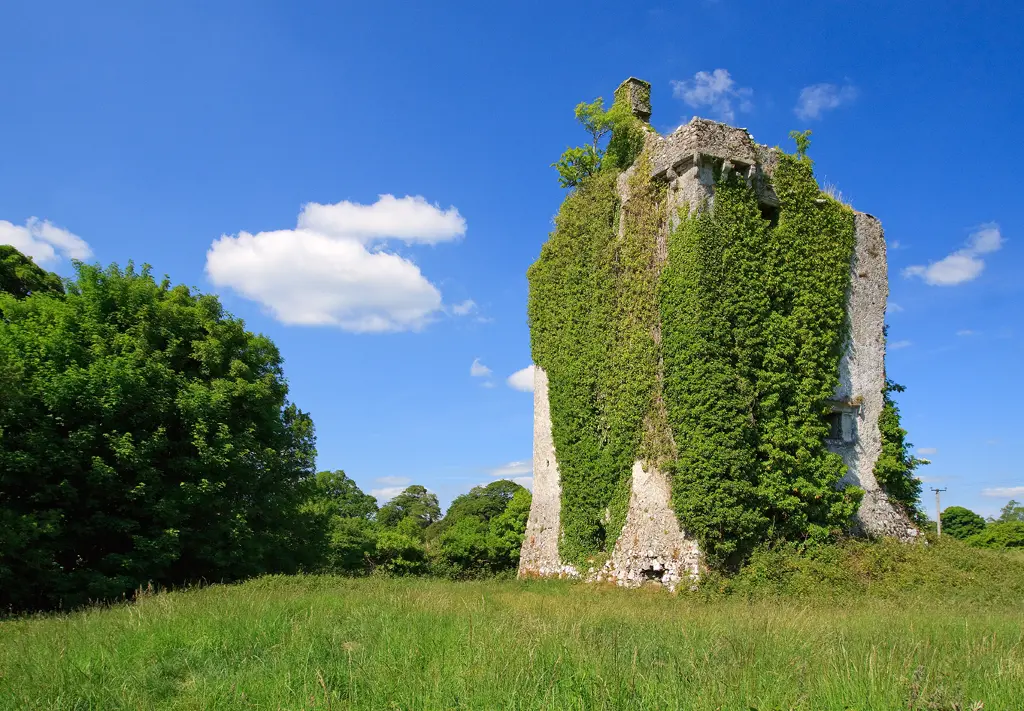 Castle Hackett, County Galway