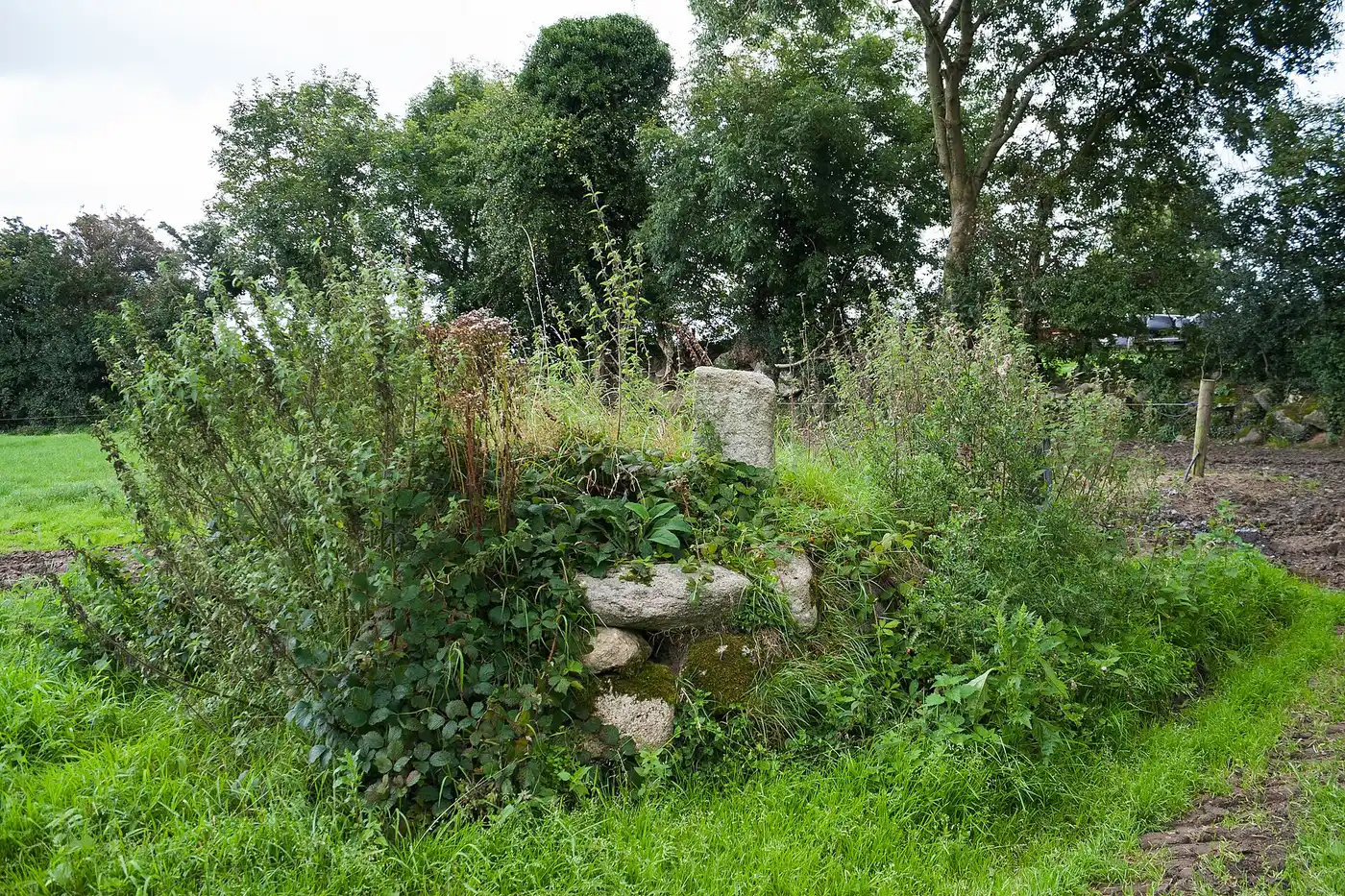 Lorum High Cross, County Carlow