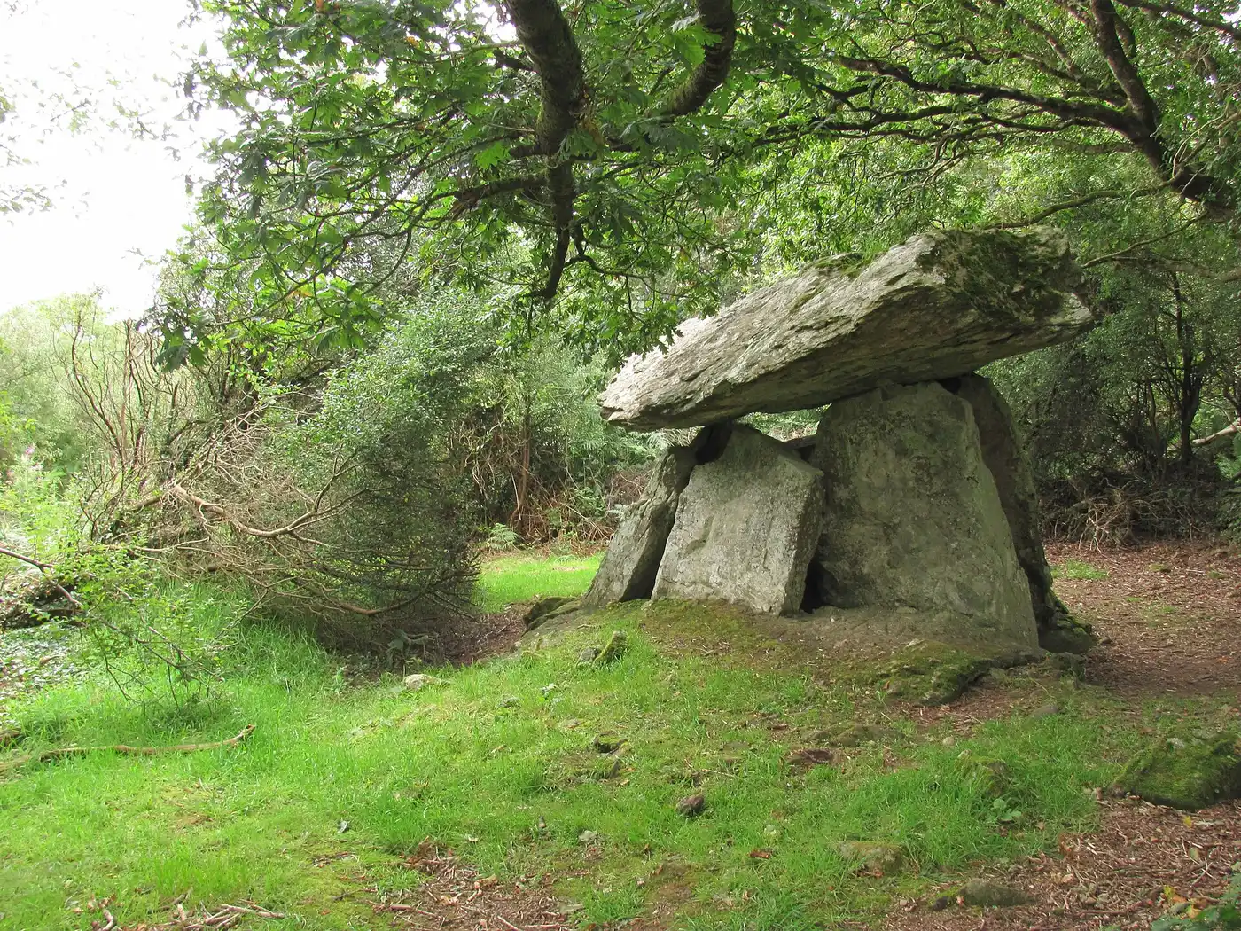 Gaulstown Portal Tomb, County Waterford