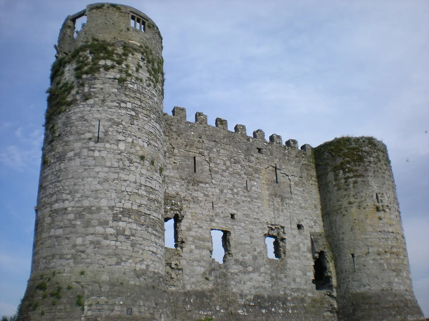 Carlow Castle, County Carlow
