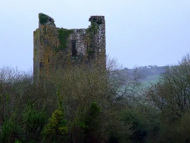 Kilcrea Castle, County Cork