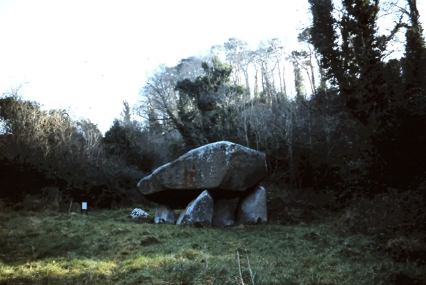 Brennanstown Portal Tomb, County Dublin